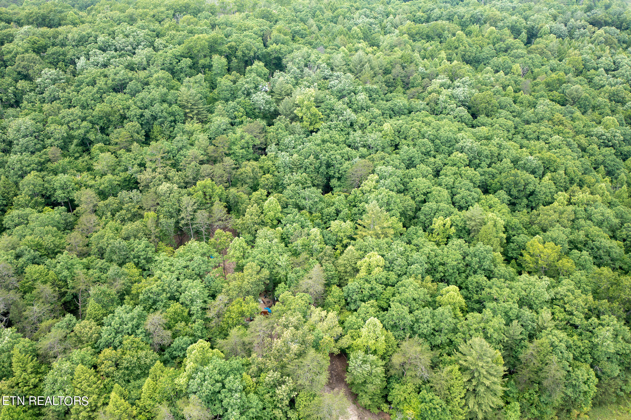 165 Stockton Bluffs Trl