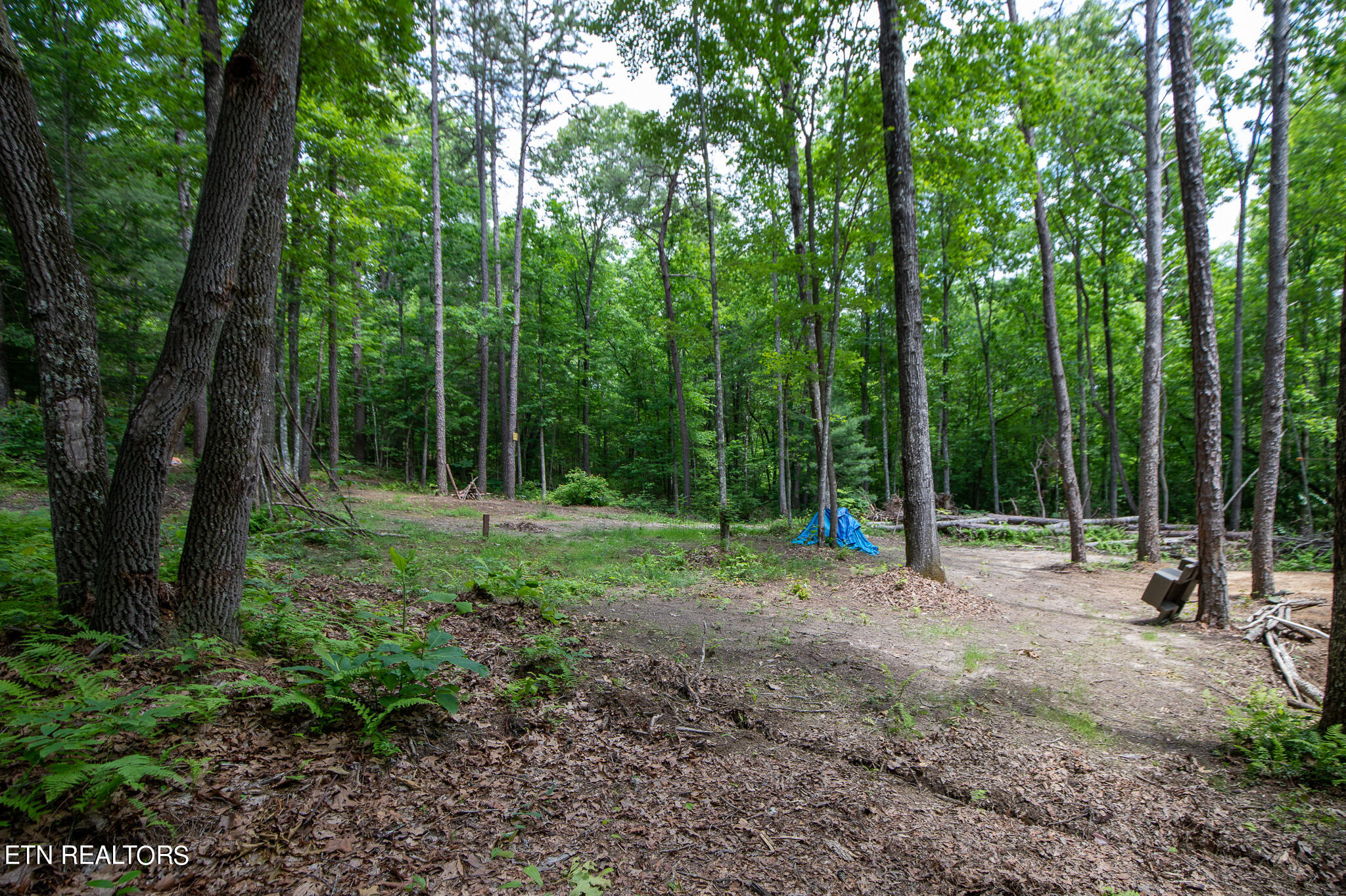 165 Stockton Bluffs Trl