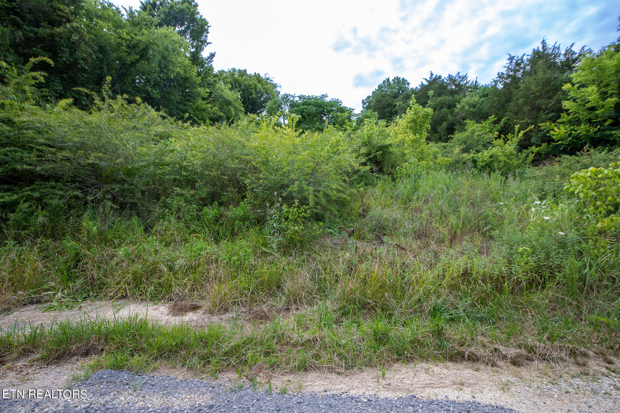 00 N Of Eagle Ridge Lane