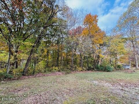 2524 S York Hwy