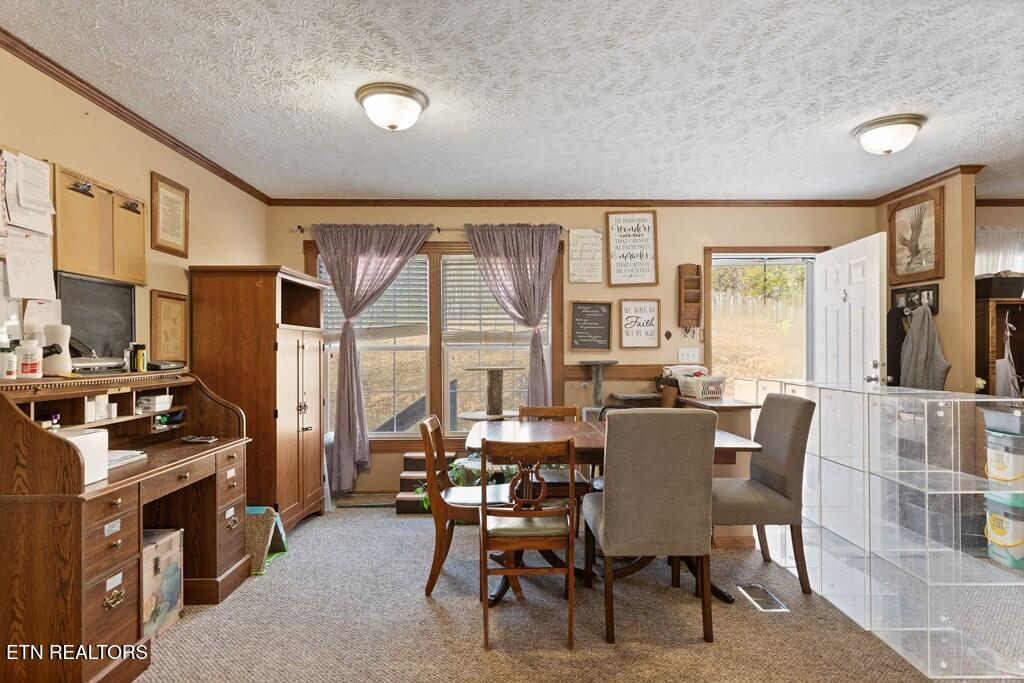 14914 Peach Stone