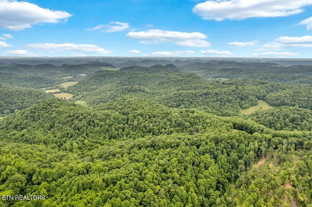 11901 Martin Creek Rd