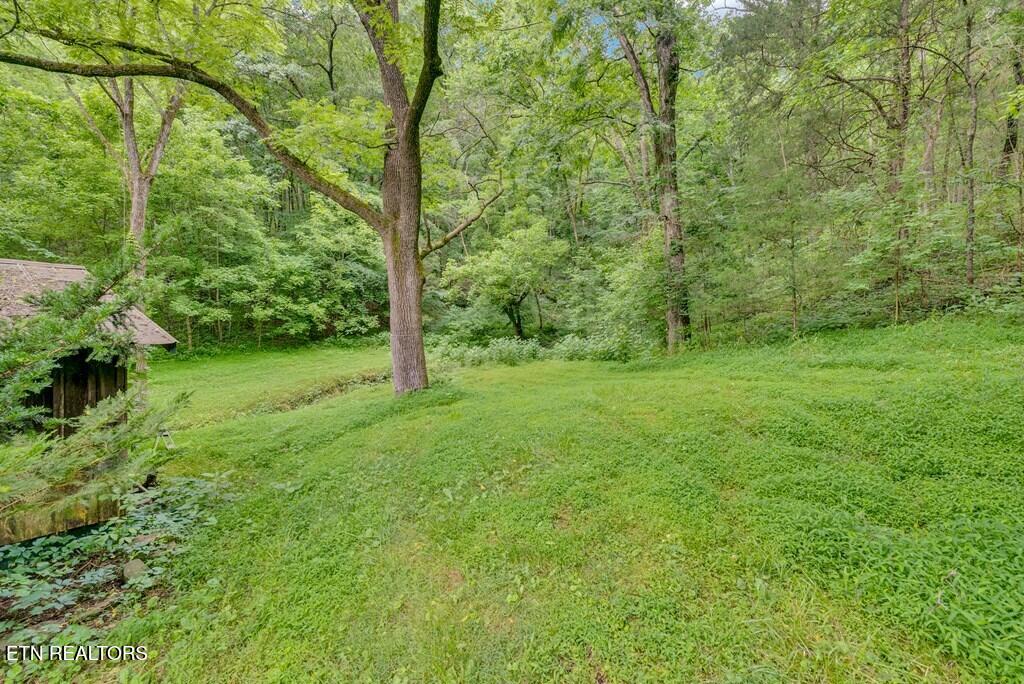 11901 Martin Creek Rd