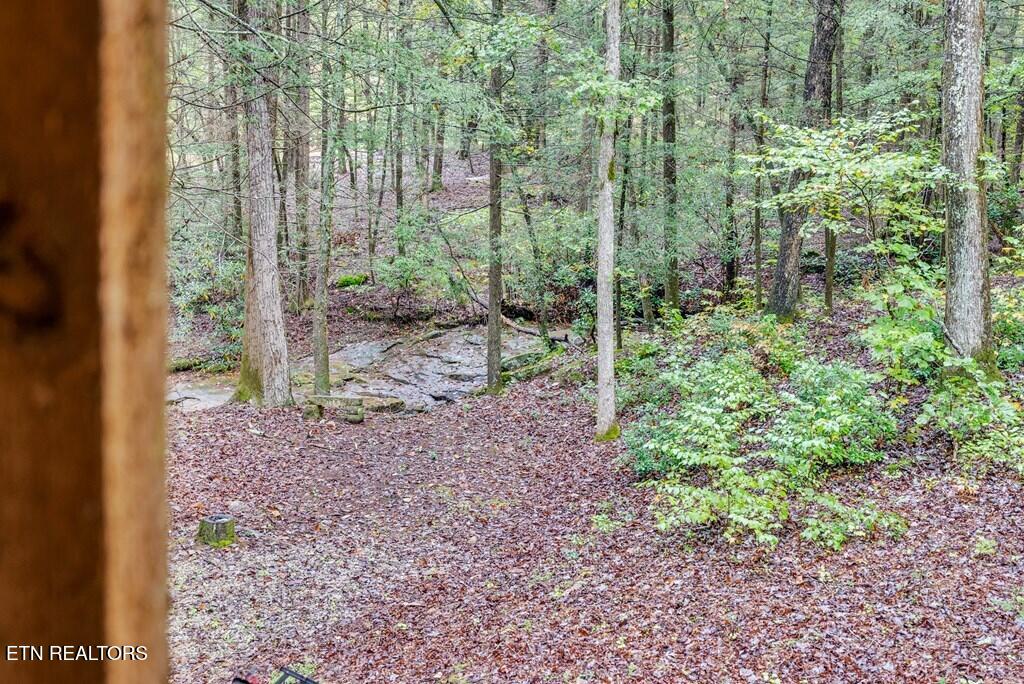 6573 Smith Mountain Rd