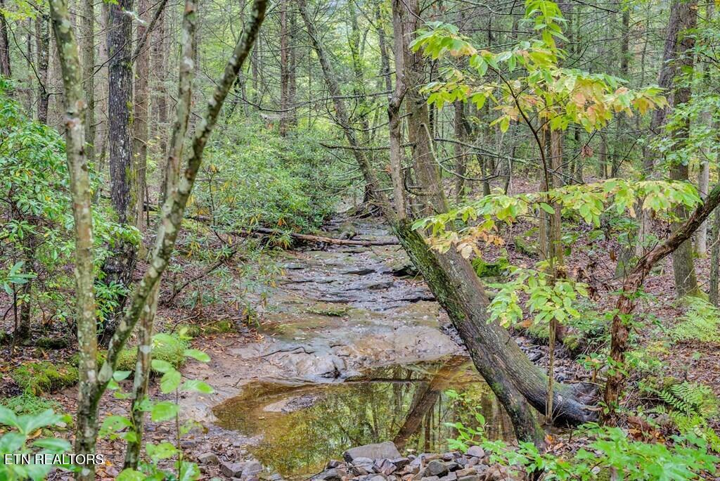 6573 Smith Mountain Rd