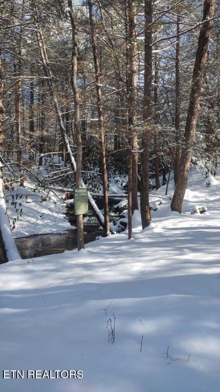 6573 Smith Mountain Rd