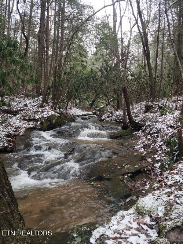 6573 Smith Mountain Rd