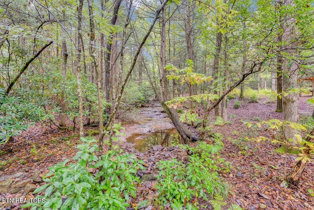 6573 Smith Mountain Rd