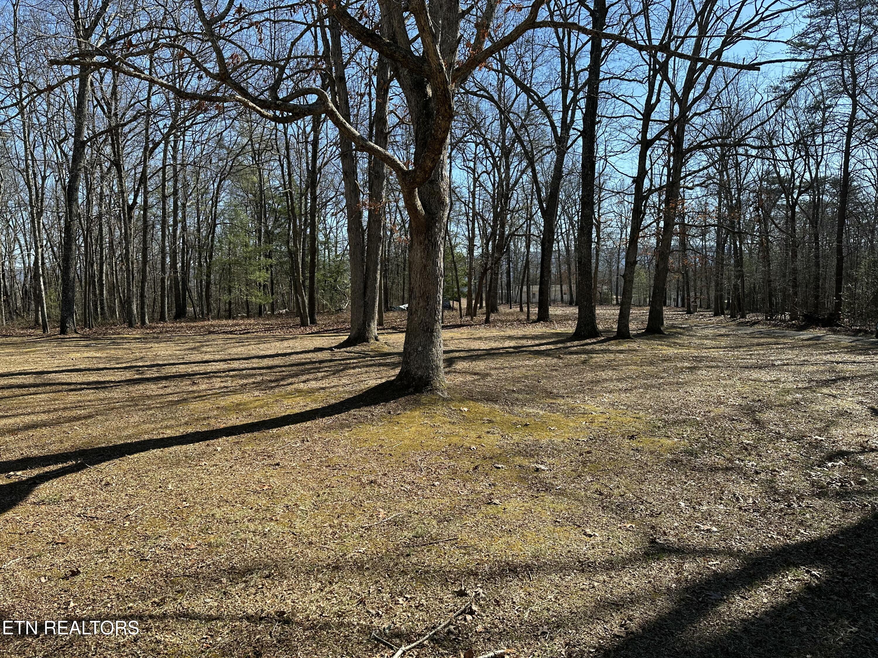 267 Eli Ford Rd
