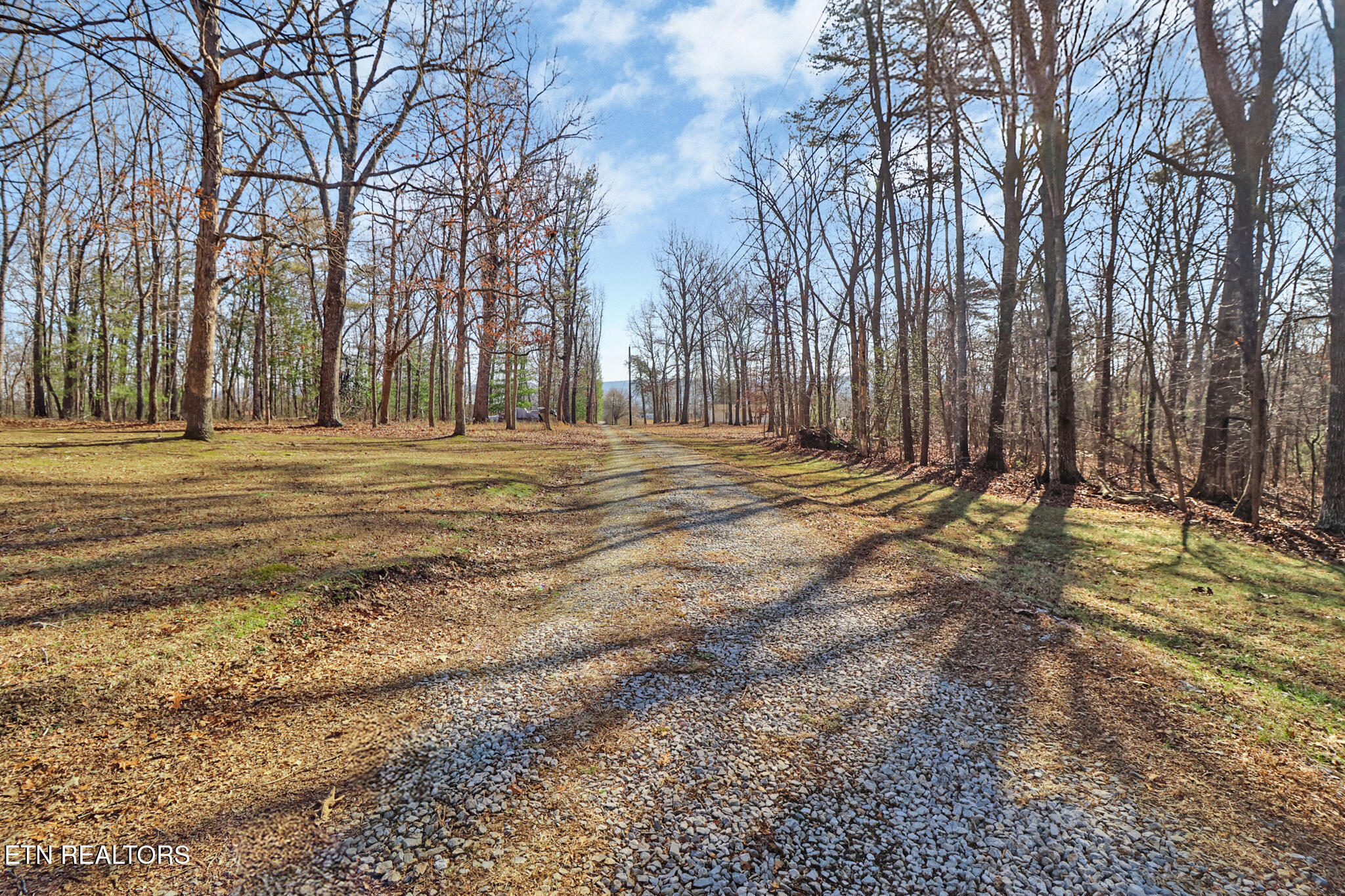 267 Eli Ford Rd