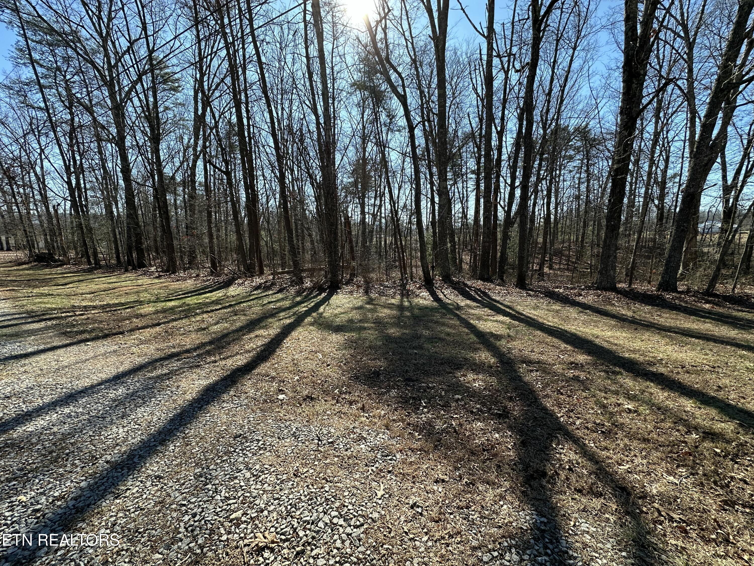 267 Eli Ford Rd