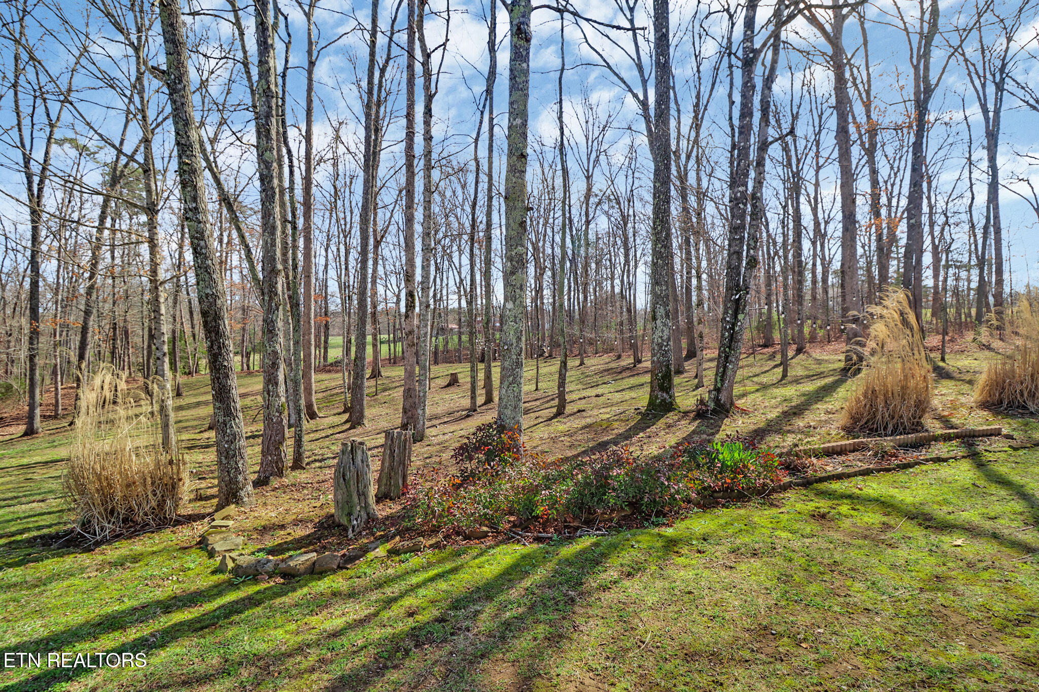 82 Scott Creek Rd