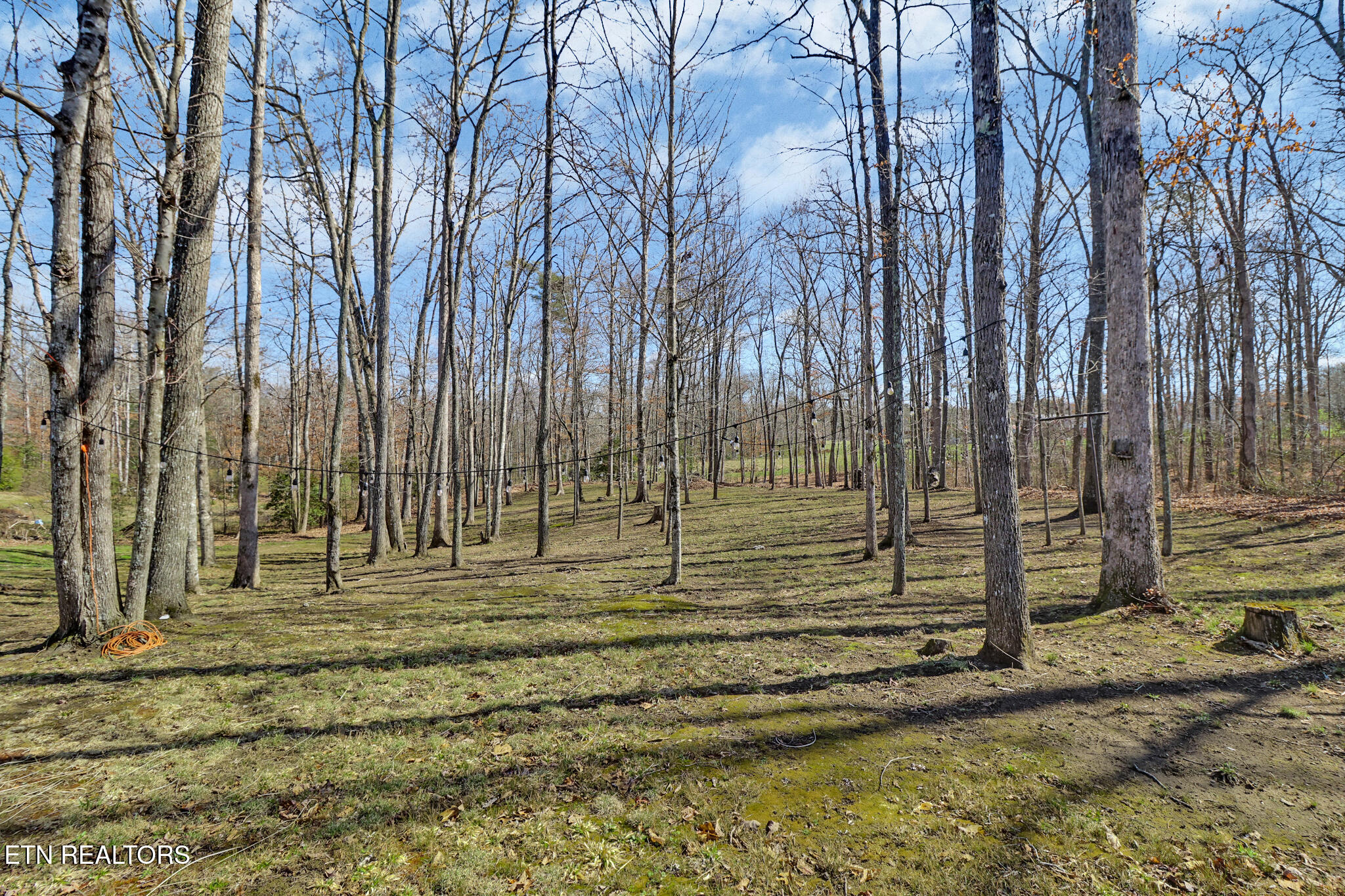 82 Scott Creek Rd