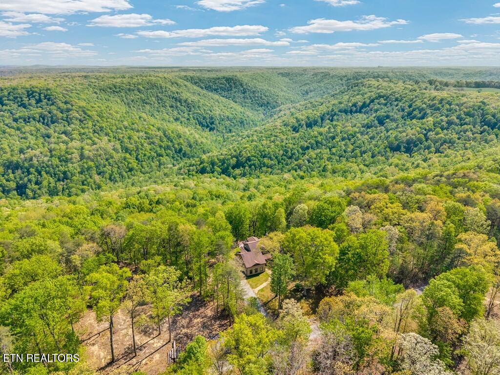 160 Eagles Bluff Circle