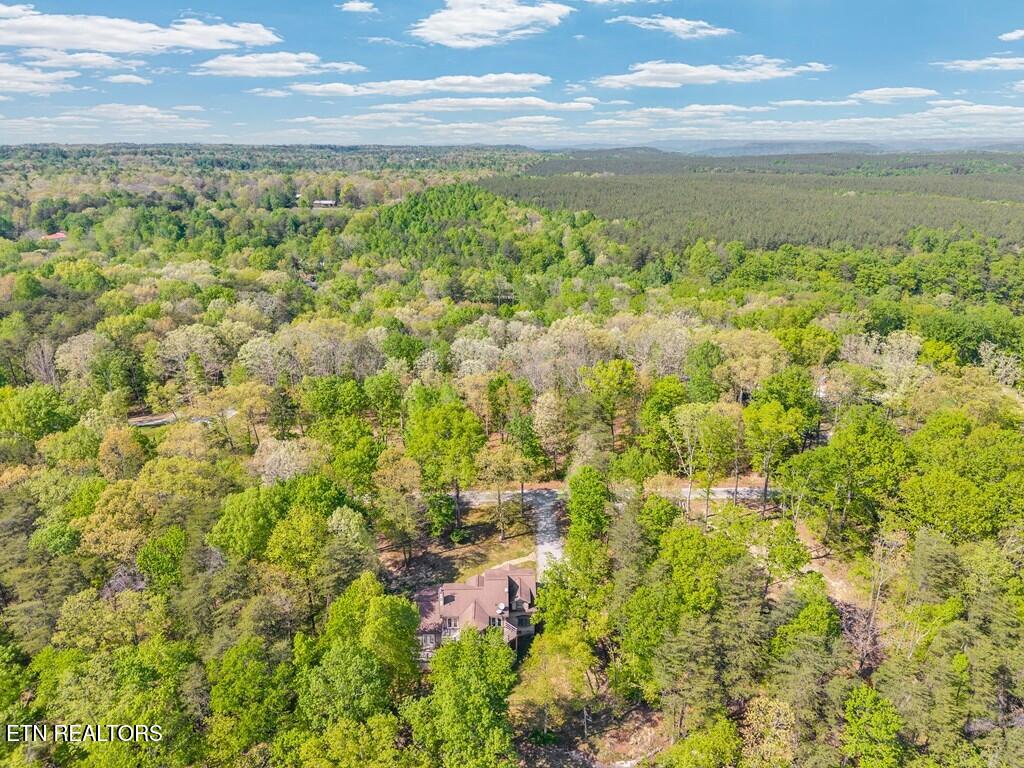 160 Eagles Bluff Circle