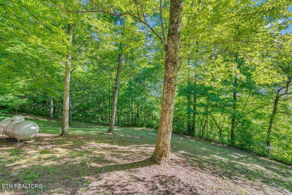 755 Woody Rd