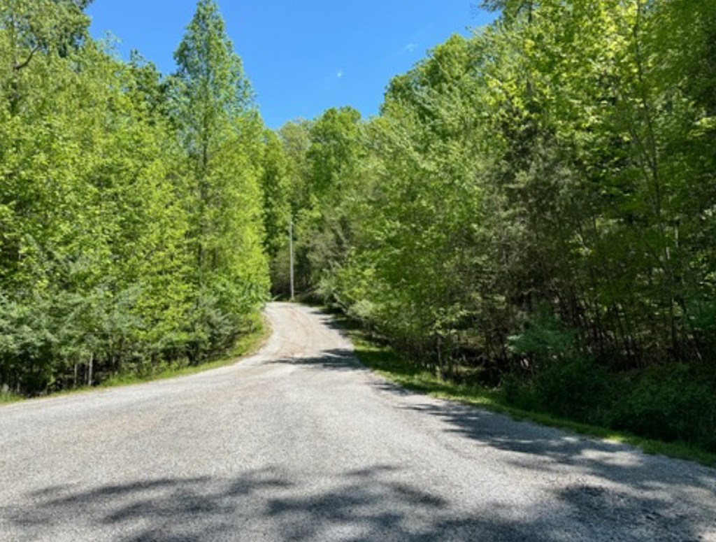 21 Valarian Terrace Lot 28