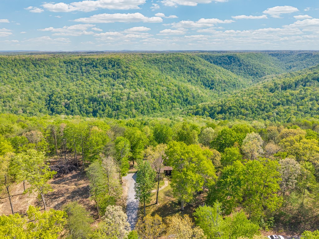 160 Eagles Bluff Cir