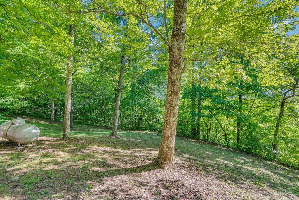 755 Woody Rd