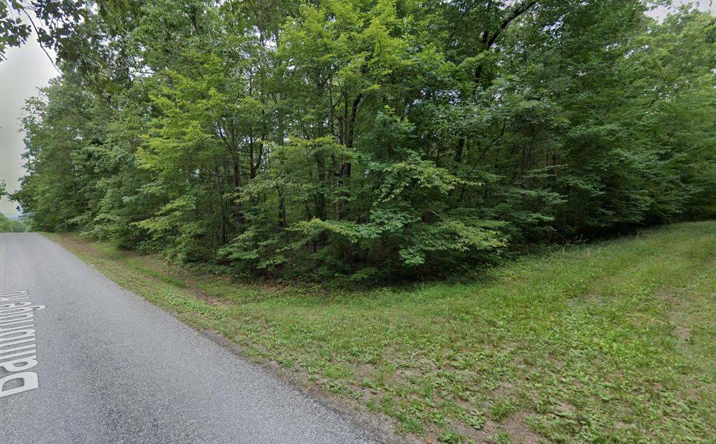 101 Rossmore Ct