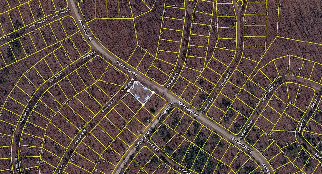 101 Rossmore Ct