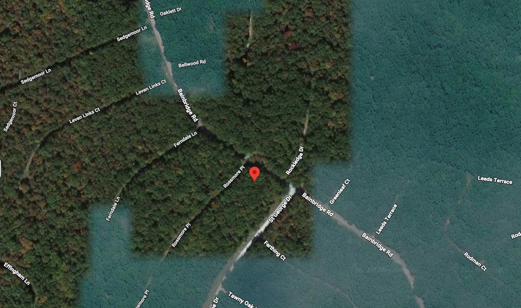 101 Rossmore Ct