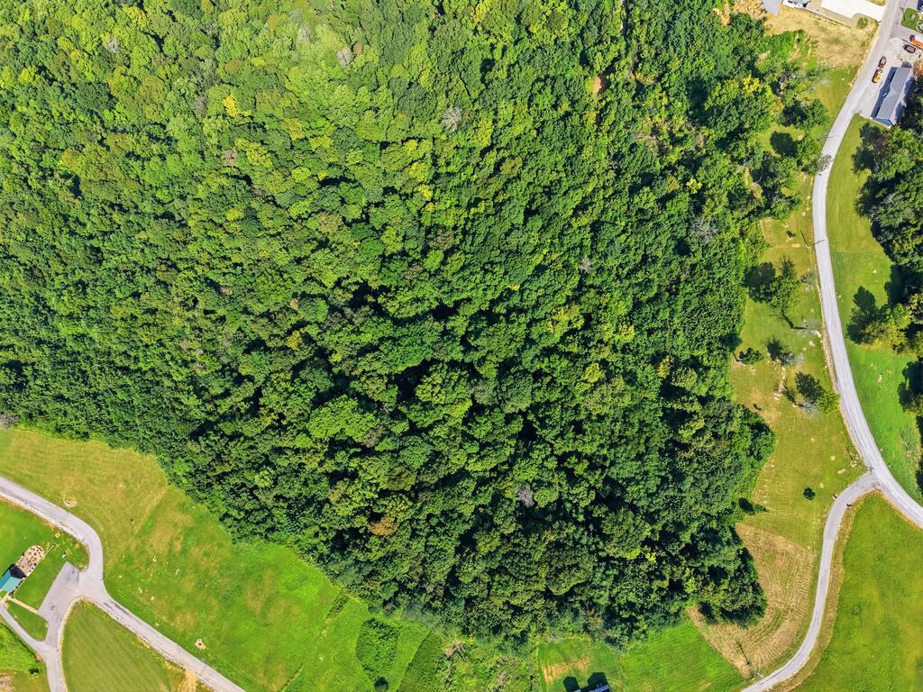 0 Swan Ridge