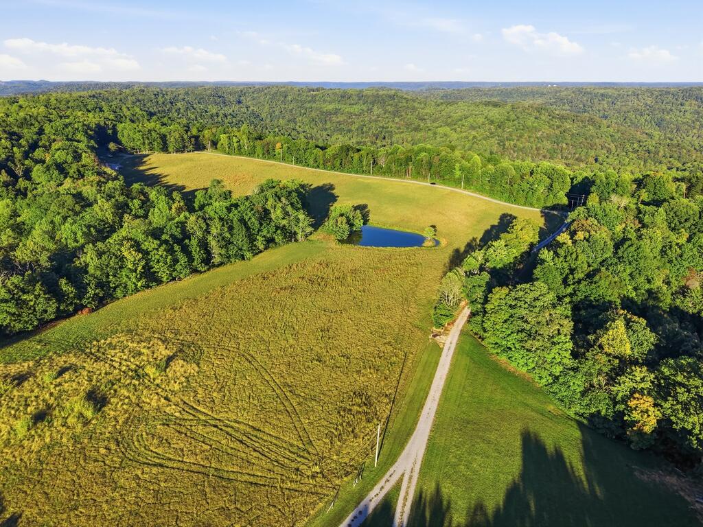7977 White Oak Flatt Rd