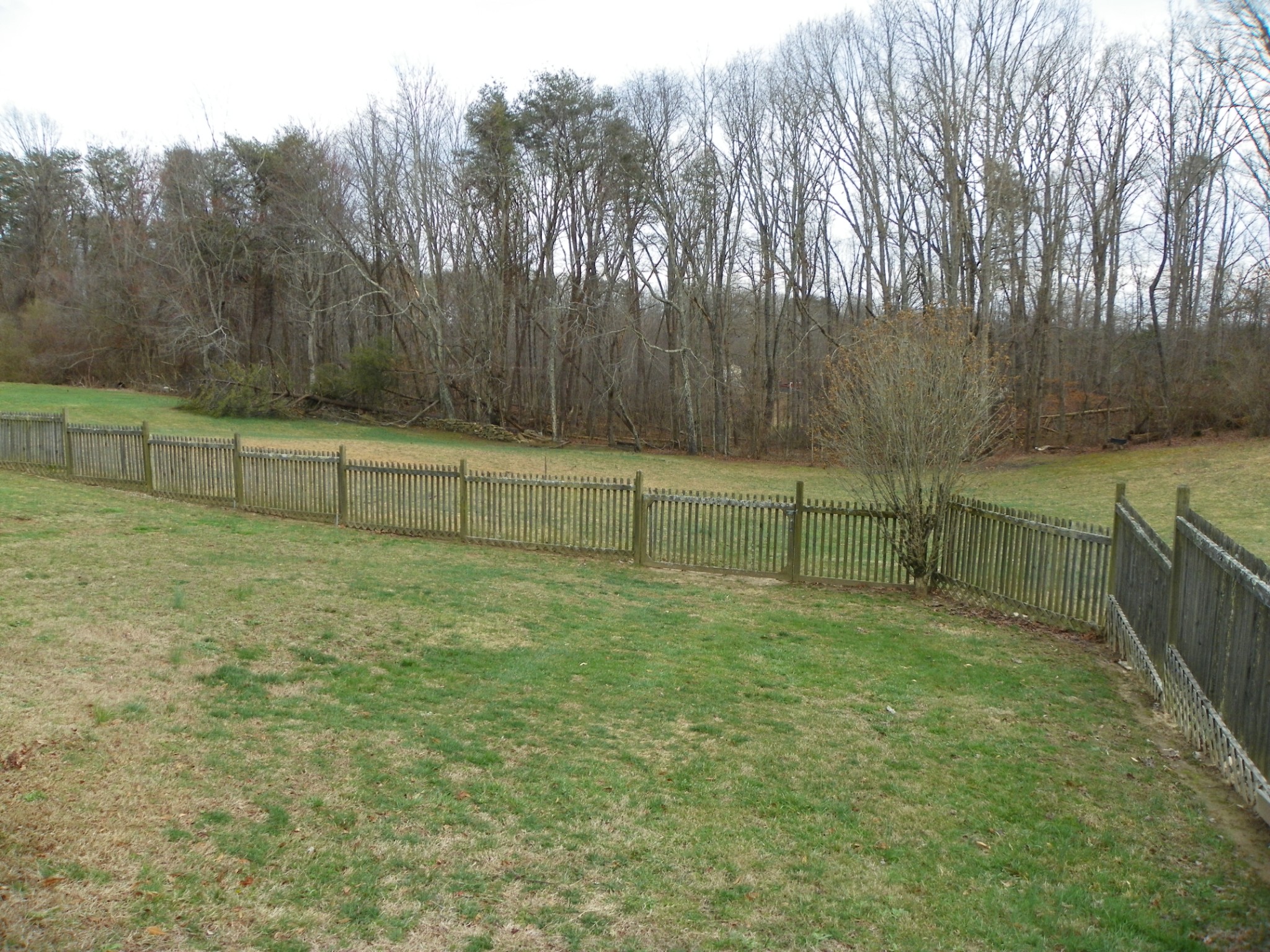 384 Turkey Scratch Rd