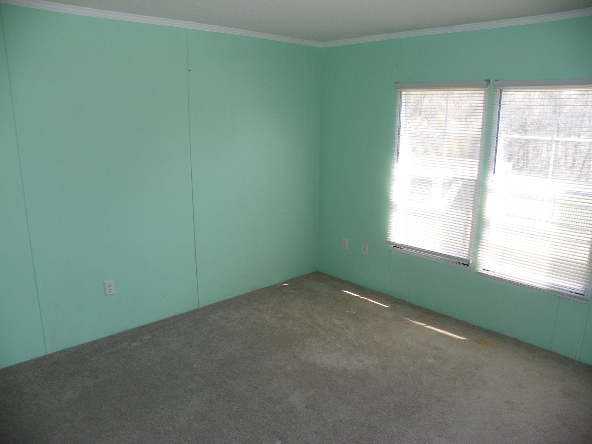 384 Turkey Scratch Rd