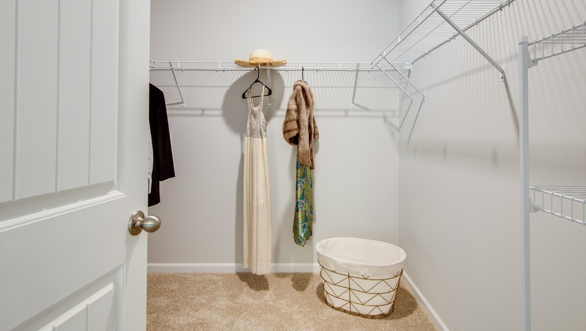 5438 Timberwalk Lane