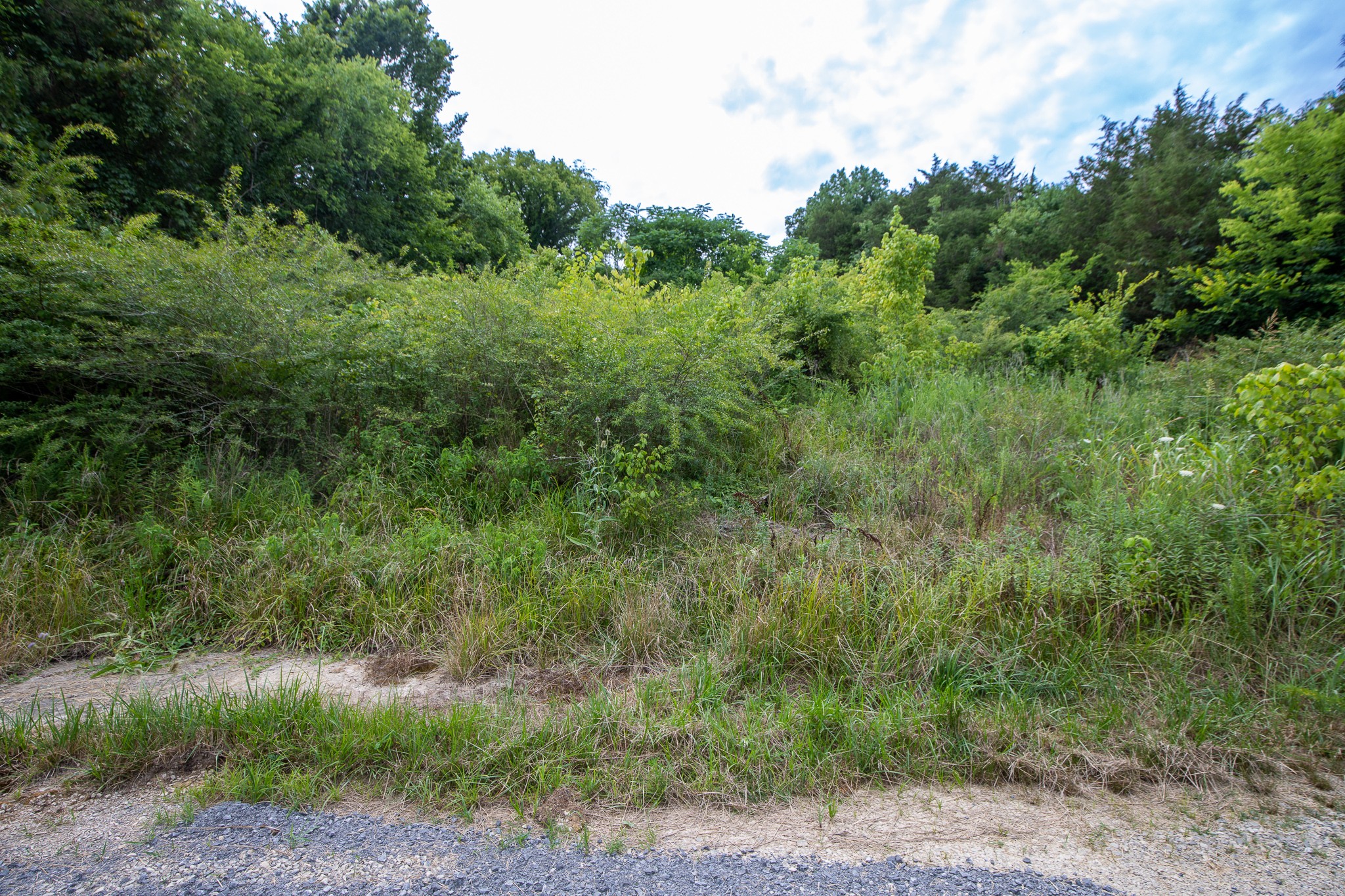 0 Eagle Ridge Ln, N