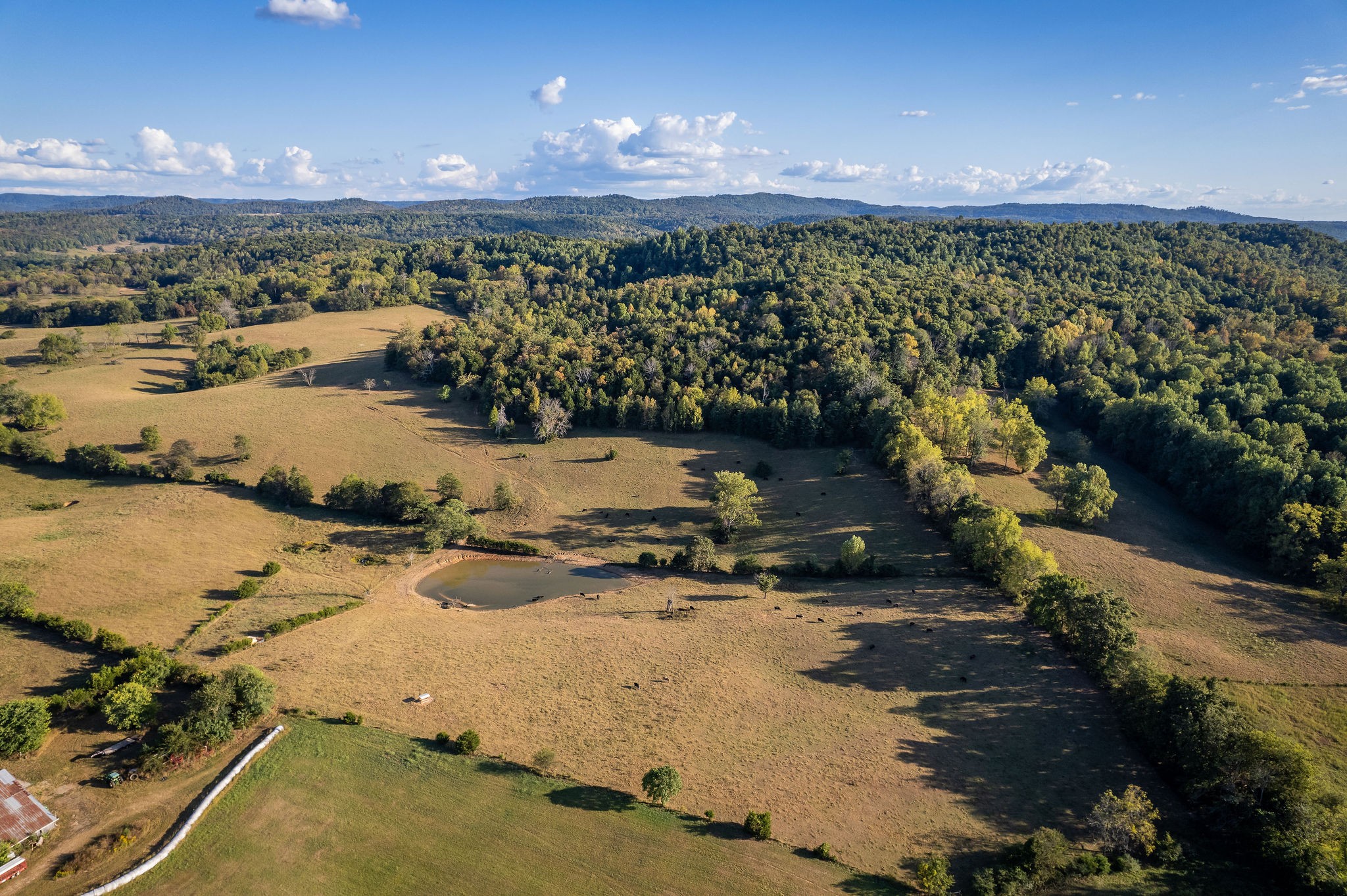 890 Rickman Monterey Hwy