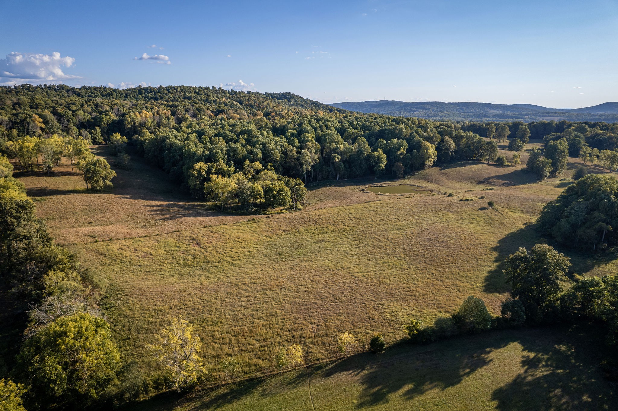 890 Rickman Monterey Hwy