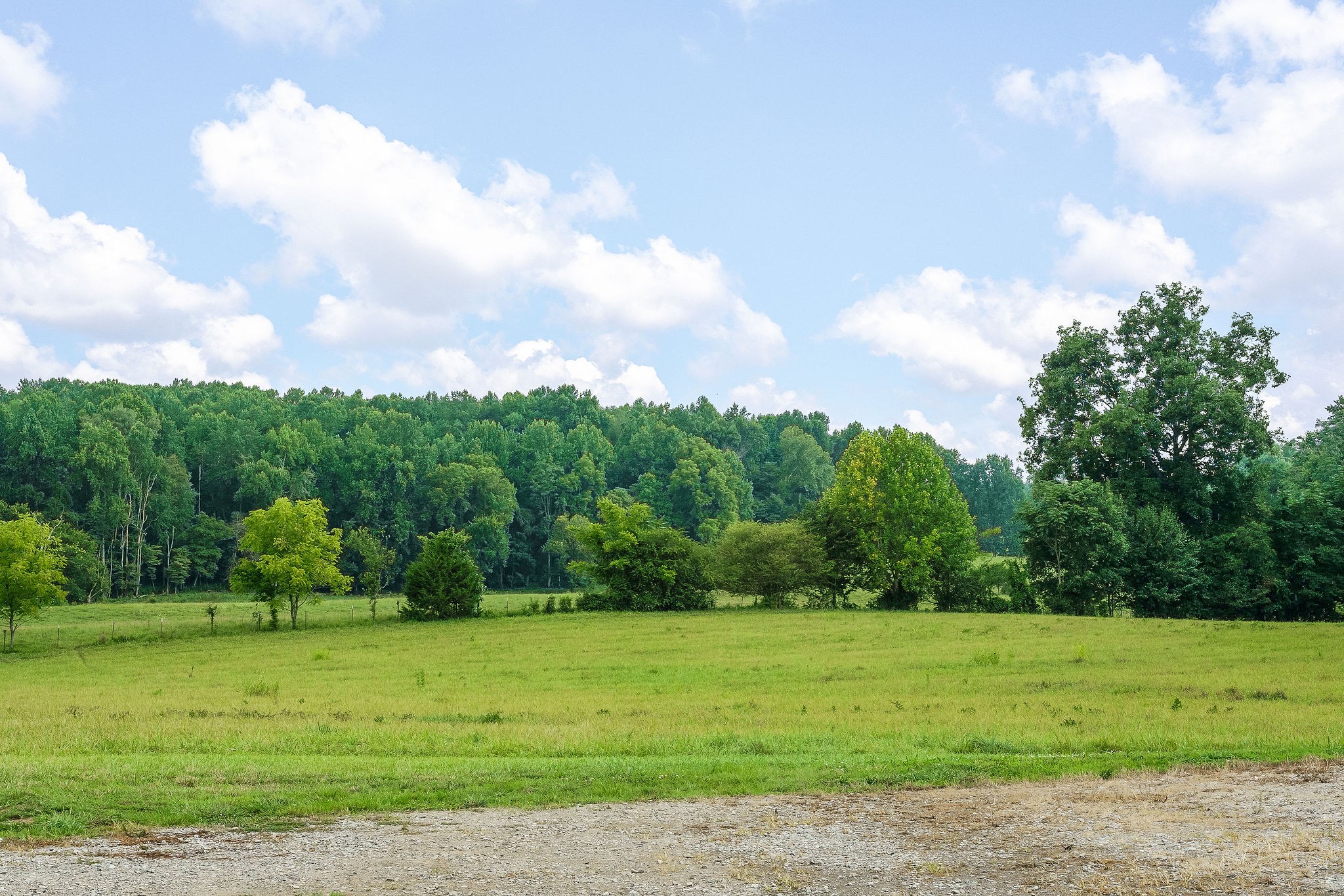 890 Rickman Monterey Hwy