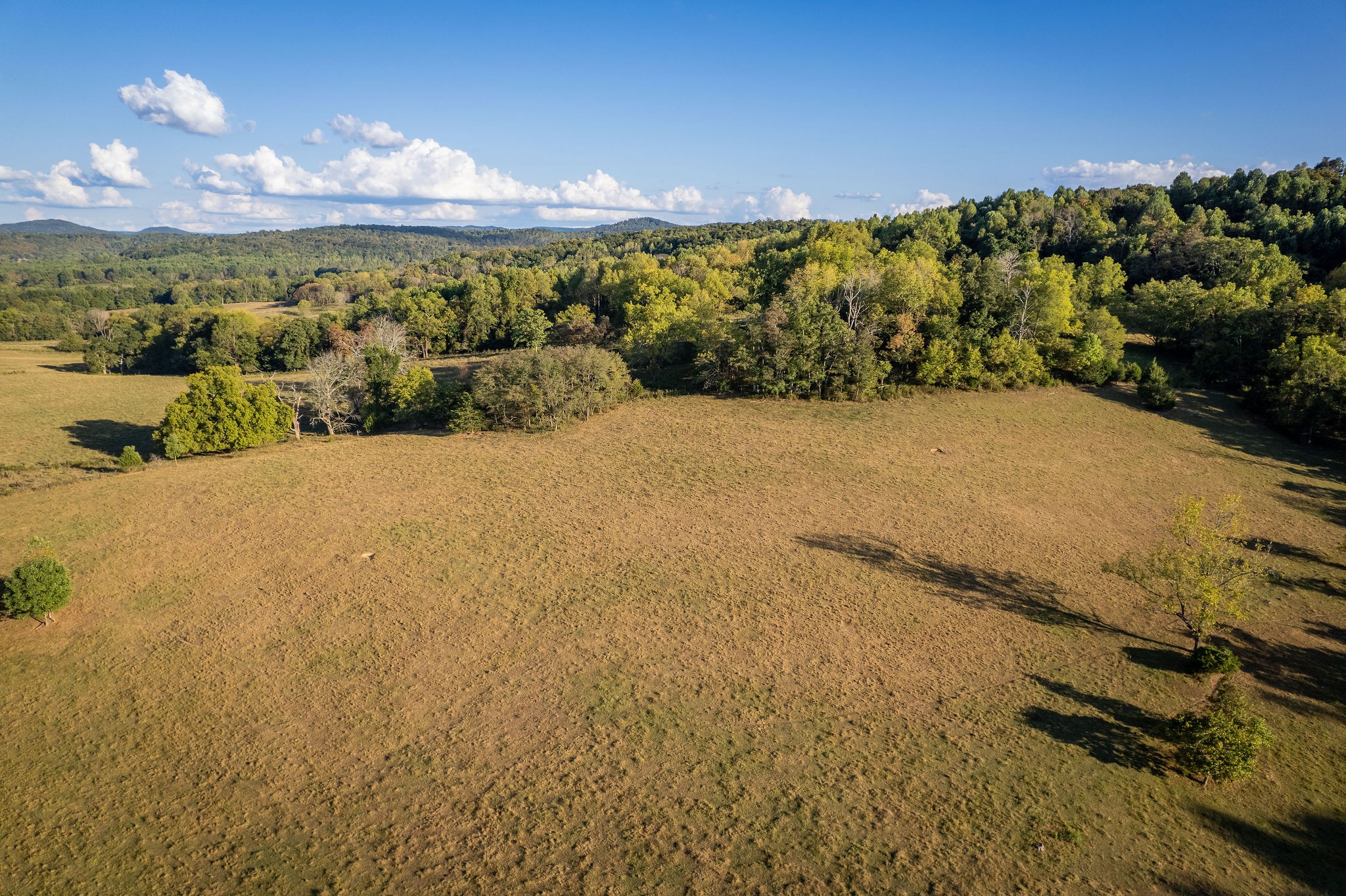 890 Rickman Monterey Hwy