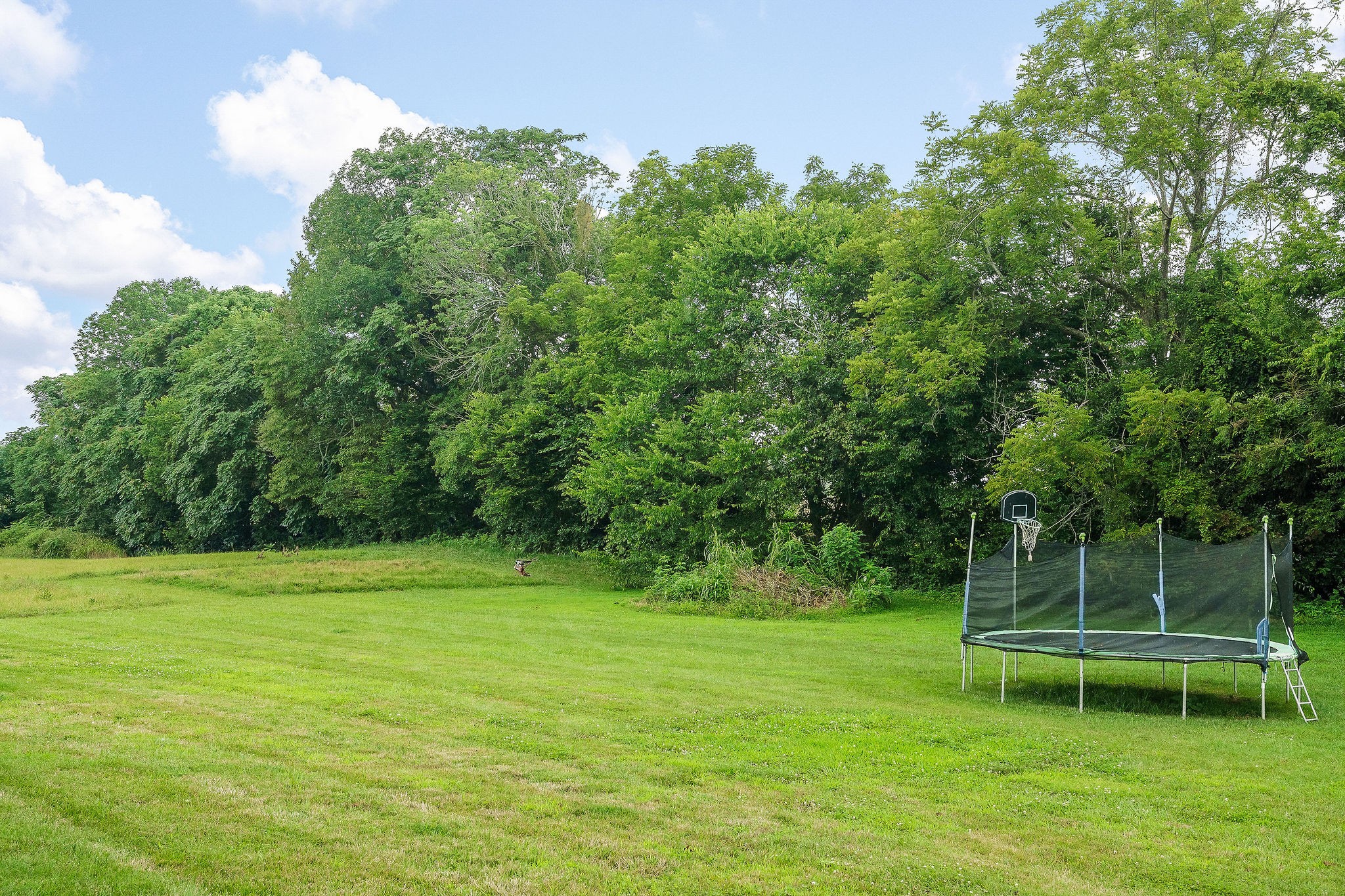 890 Rickman Monterey Hwy