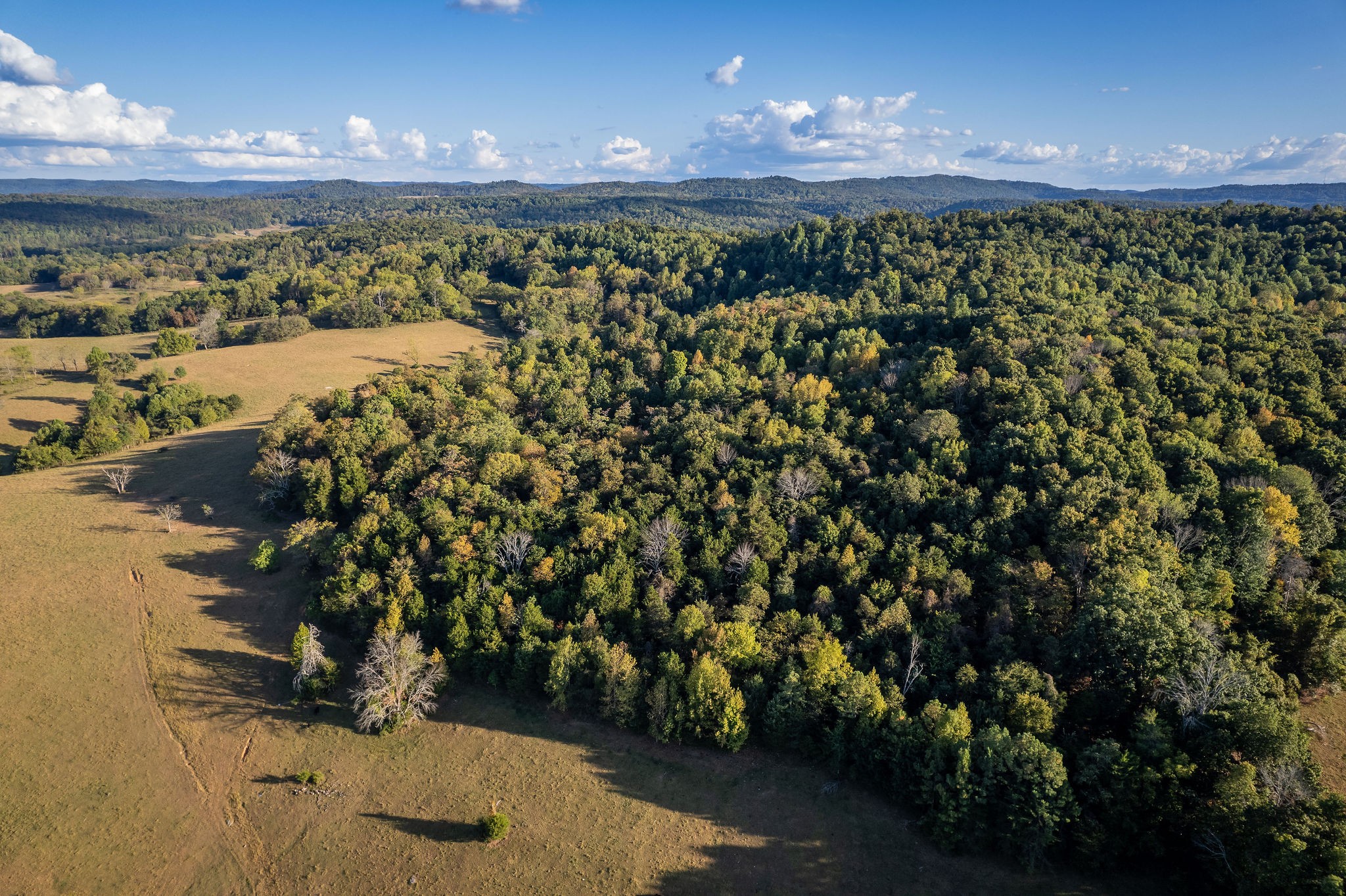 890 Rickman Monterey Hwy