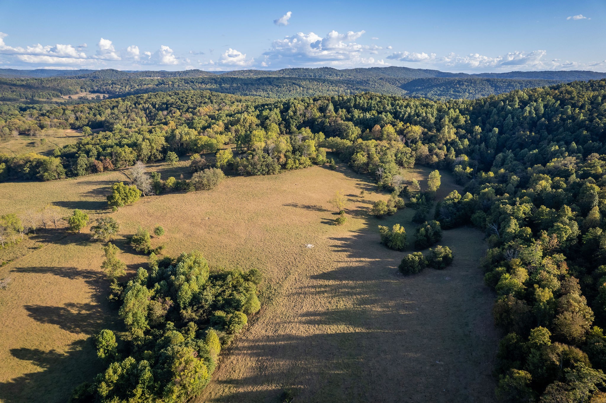 890 Rickman Monterey Hwy