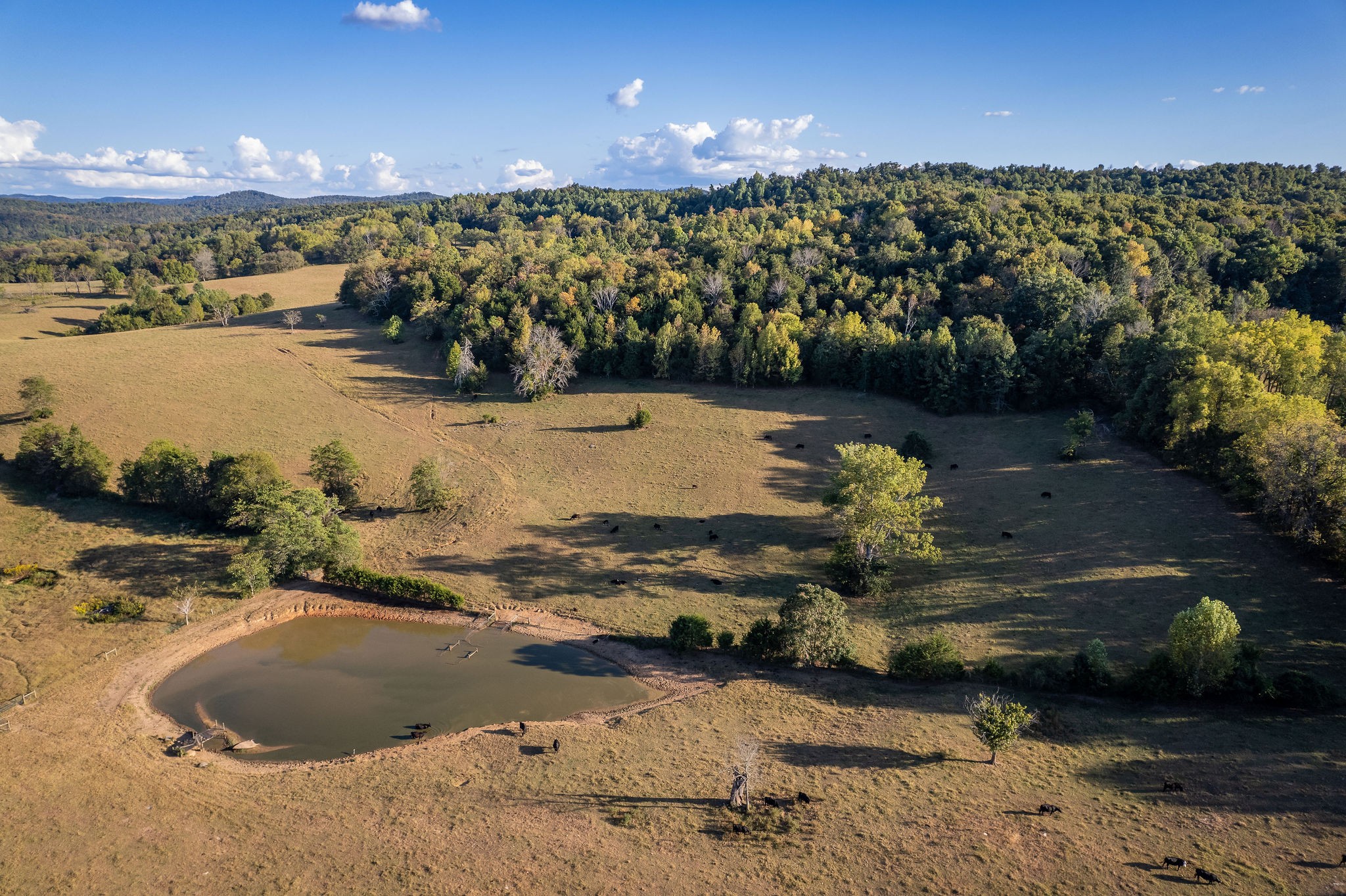 890 Rickman Monterey Hwy