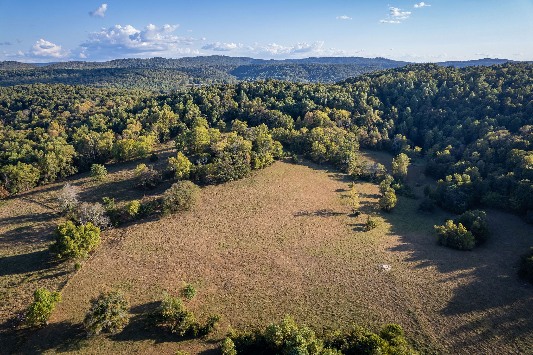 890 Rickman Monterey Hwy