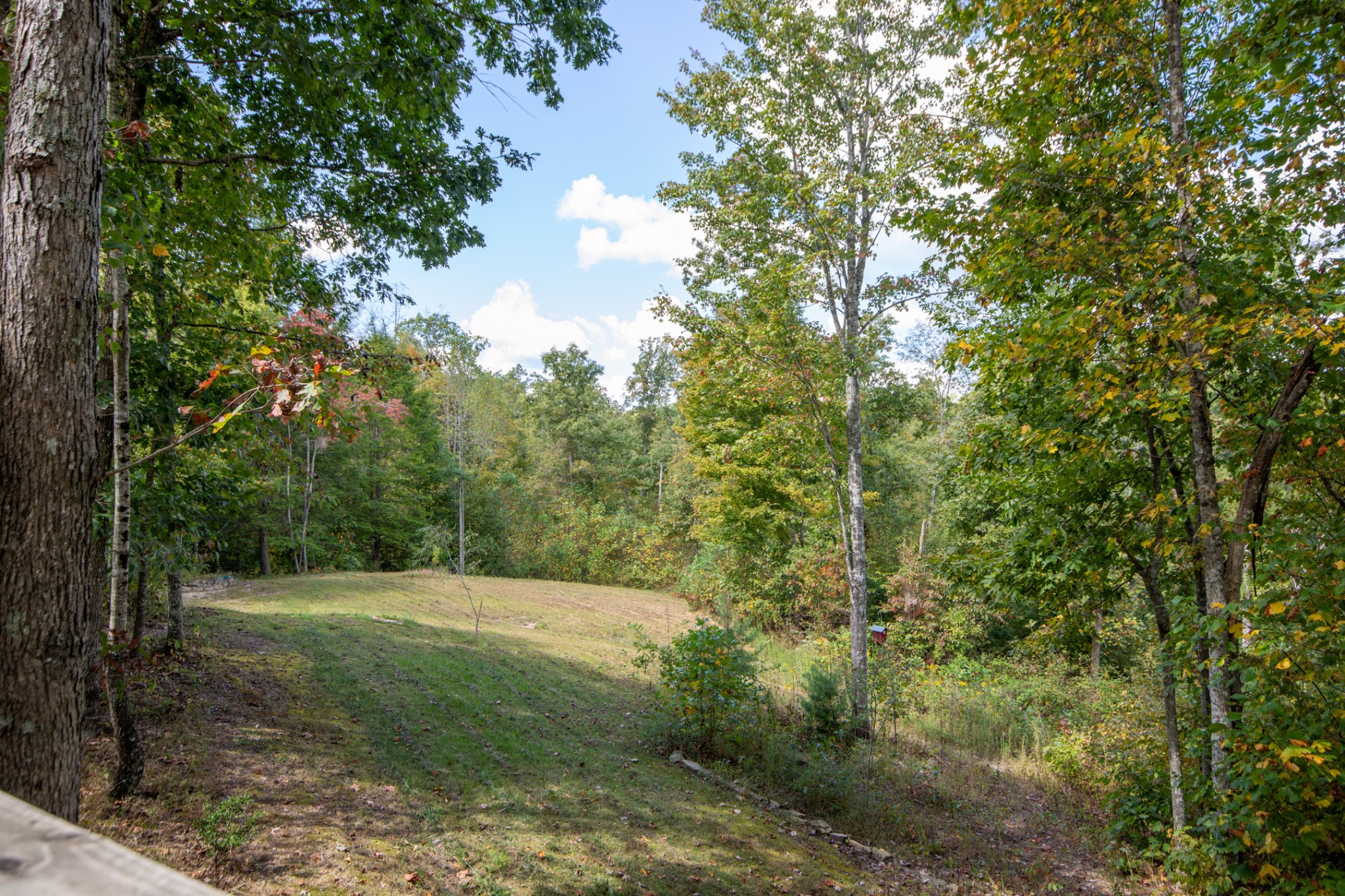 35389 Highland Ridge Trl