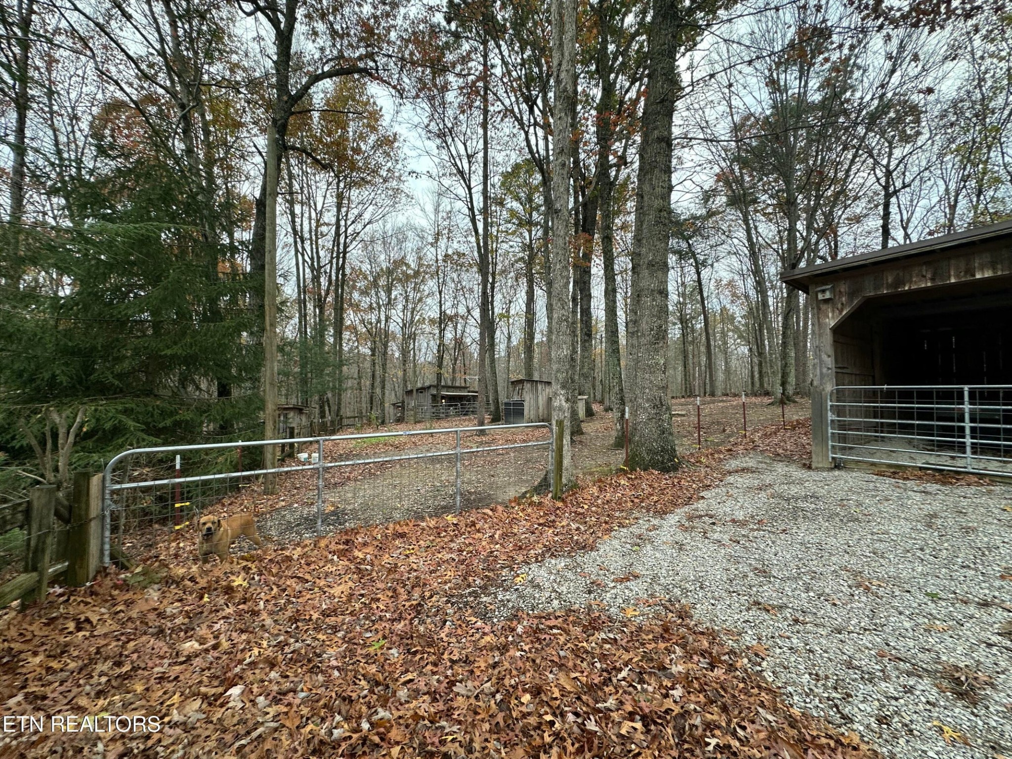 773 Basin Rd