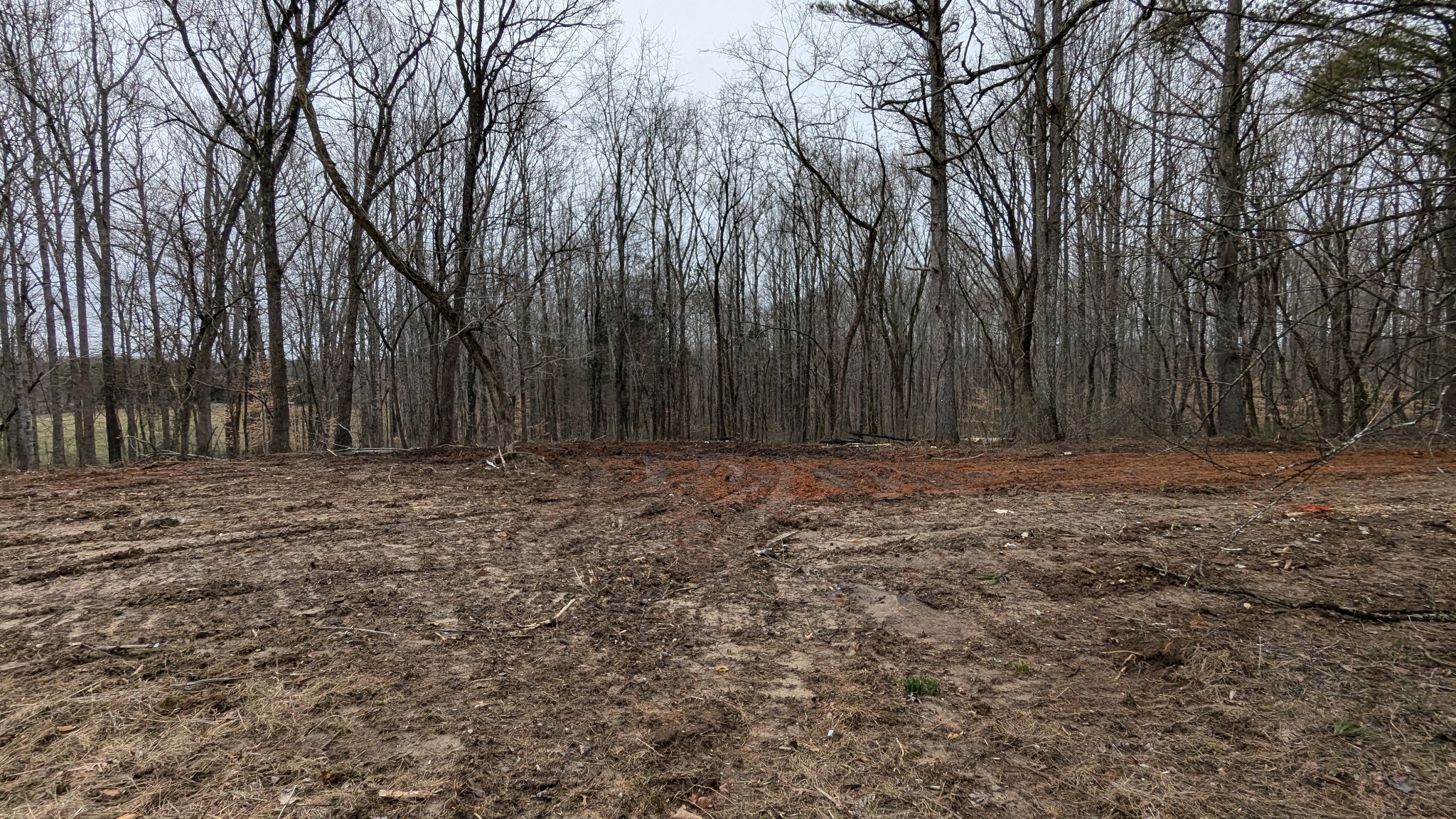245 Shady Ln
