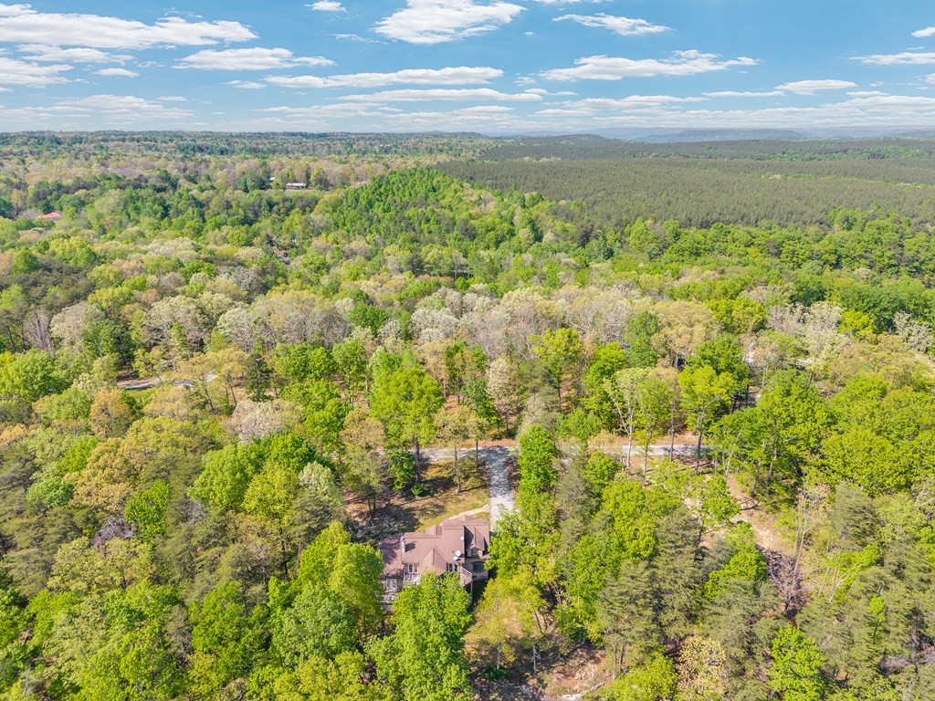 160 Eagles Bluff Cir