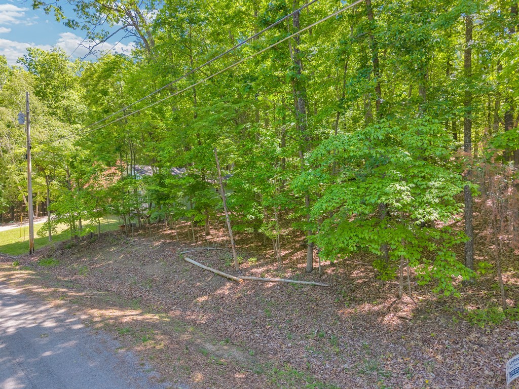 22 Harley Cir