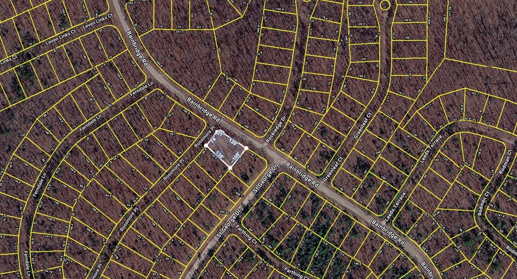 101 Rossmore Ct
