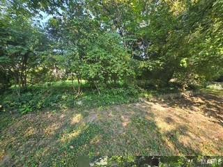 235 N Dellwood Road