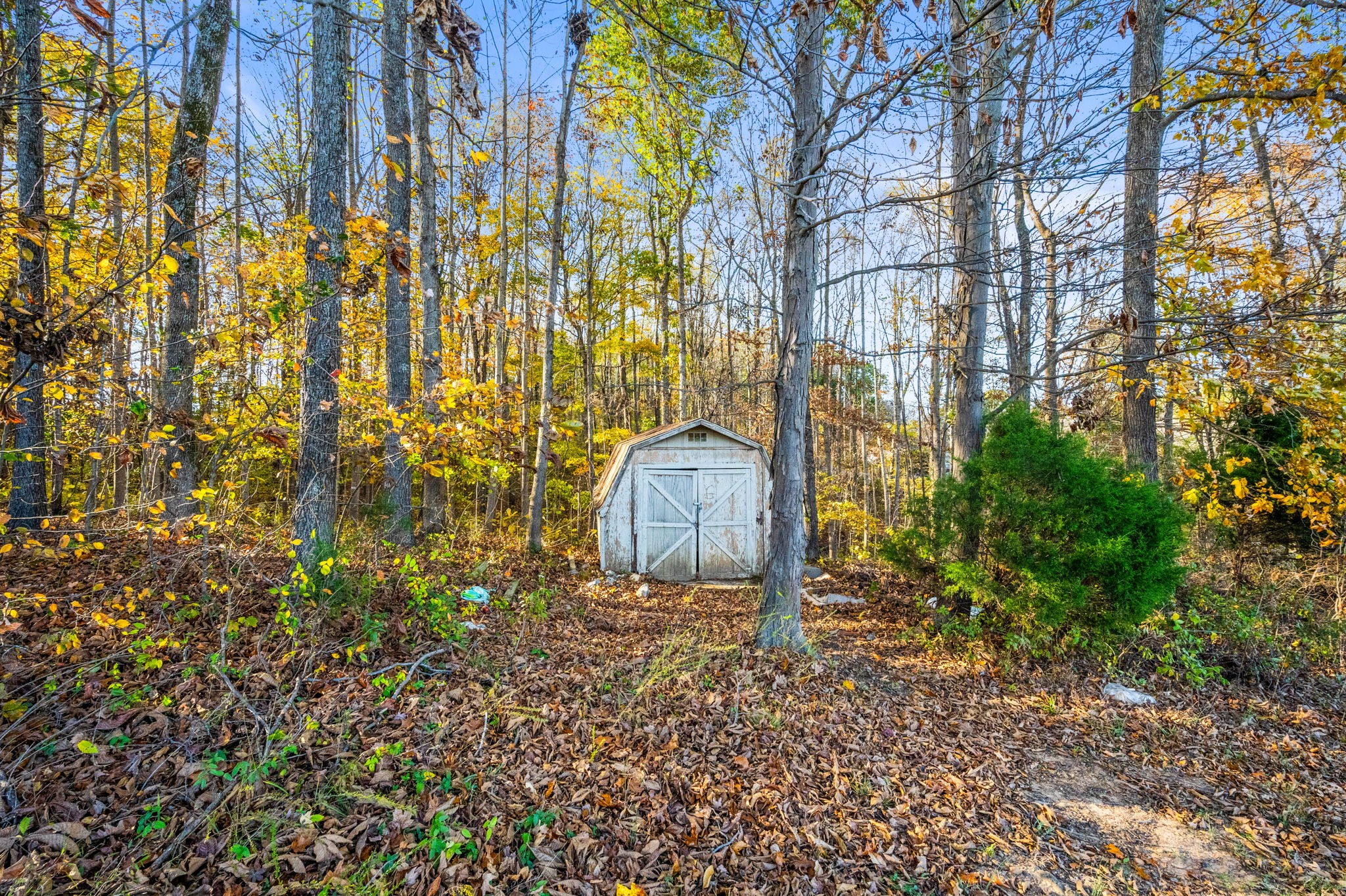 1521 Rapids Rd