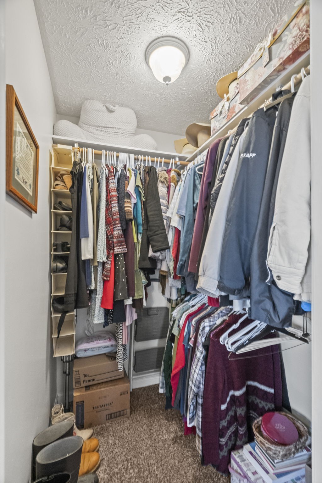 1005 Orchard Dr